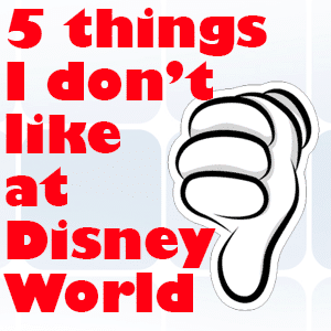 5 things i don't like at walt disney world