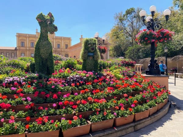 Lady and the tramp topiaries flower and garden festival