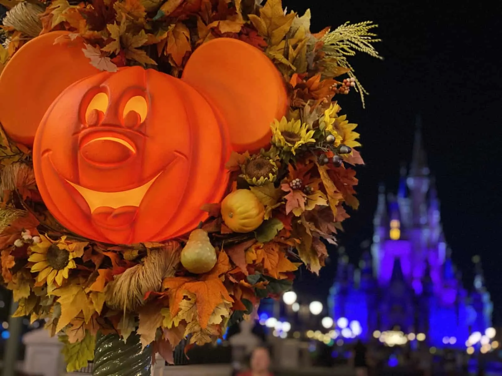 Halloween at magic kingdom - mickey pumpkin
