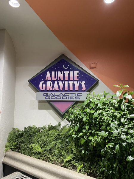 auntie gravity's tomorrowland magic kingdom