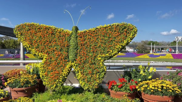 butterfly topiary at epcot flower and garden