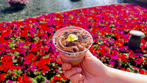 Cookies 'n "Cream" Chocolate Mousse Cup - The Land Cart