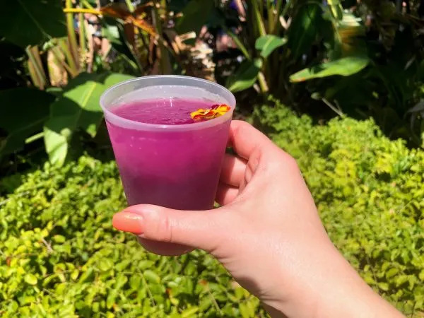 violet lemonade epcot flower and garden festival