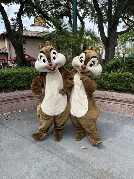 Chip Dale Hollywood Studios