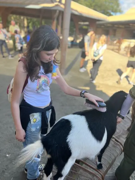 Ellen's child petting a goat
