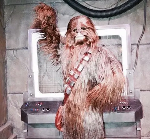 Chewbacca (character meet) – Temporarily Unavailable