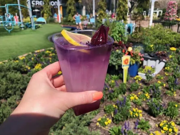 Hibiscus Lemonade Cocktail - farmers feast - flower and garden