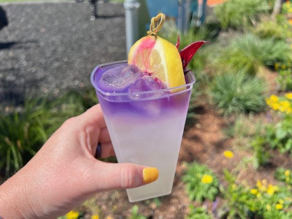Hibiscus Lemonade Cocktail 2024