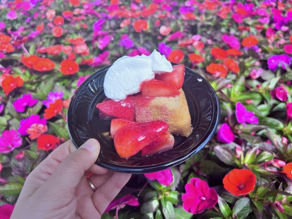Florida Strawberry Shortcake 2024