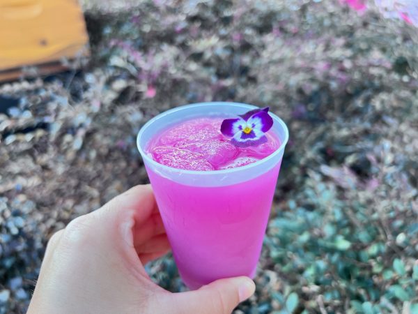 Frozen Desert Violet Lemonade 2024