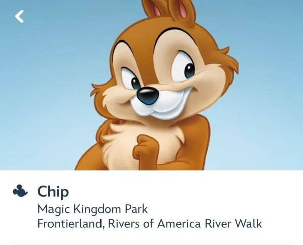 Chip meet in Frontierland
