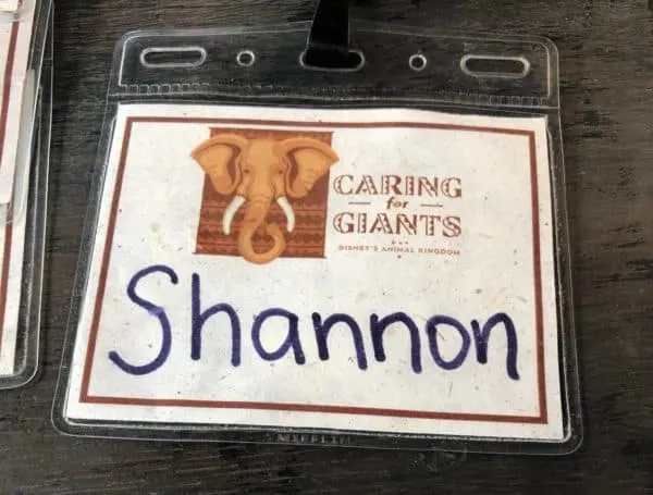 Caring for Giants badge