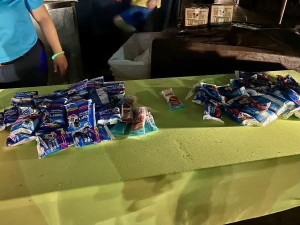 Mickey Ice Cream bars, sandwiches, and frozen strawberry pops at H2O Glow 2024