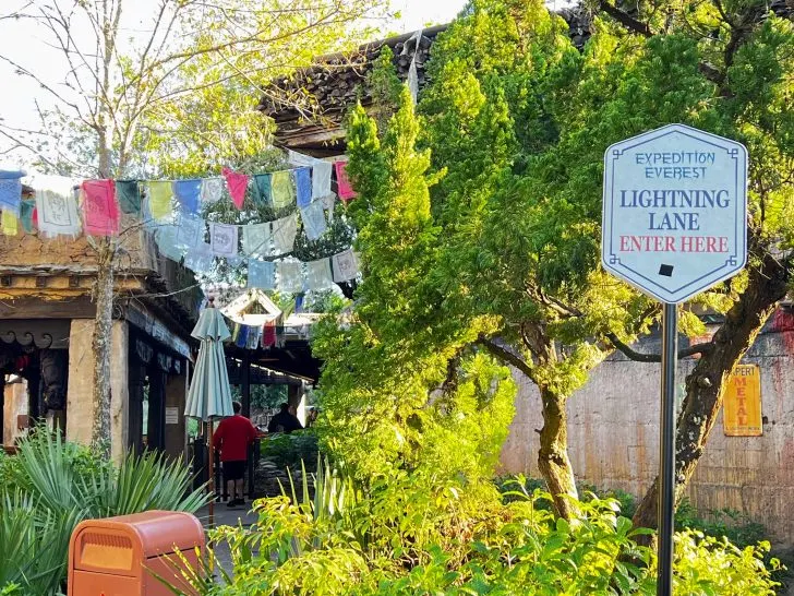 Guide to Using Lightning Lane Passes at Animal Kingdom (Priorities for 2024)