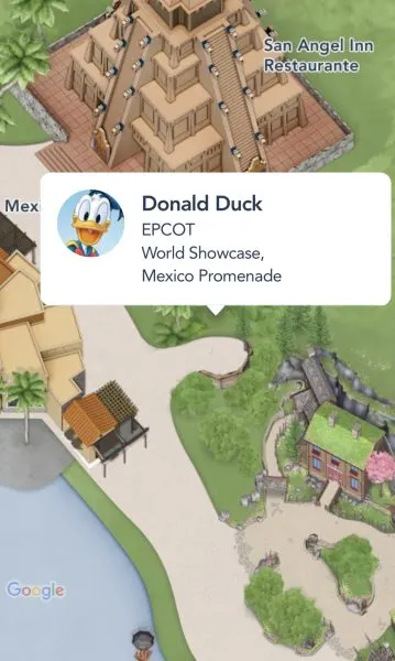 donald duck meet and greet - mexico - epcot