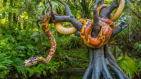 snake on the jungle cruise