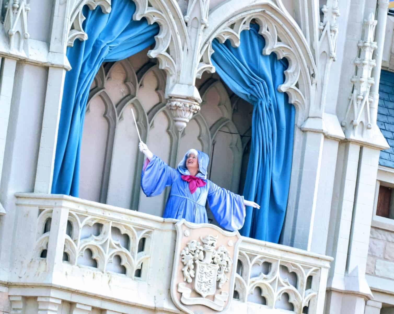 About the Magic Kingdom opening procedure