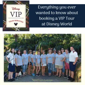 Disney VIP Tours