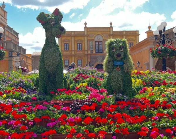 lady and the tramp topiary - flower and garden - epcot
