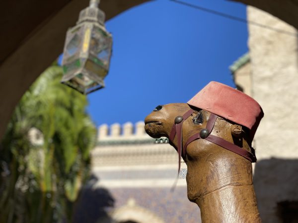 camel - morocco pavilion - epcot
