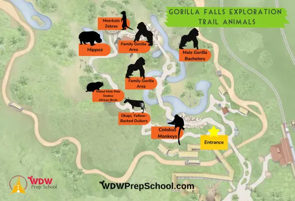 gorilla falls exploration trail animal map