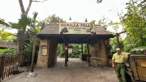 gorilla falls exploration trail animal kingdom