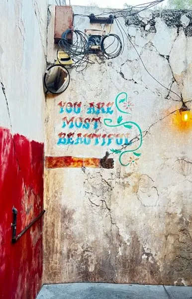 you are you most beautiful wall harambe market