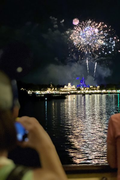 ferrytale fireworks a sparkling dessert cruise