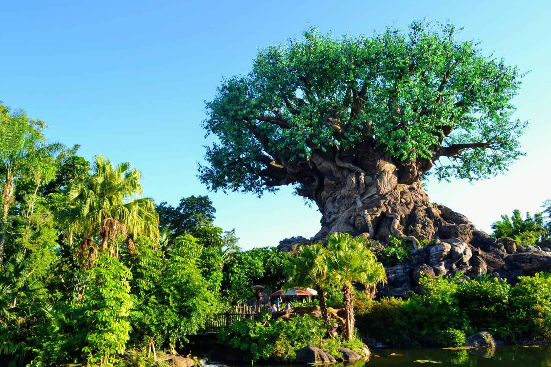 Guide to Animal Kingdom Park Hours in 2022