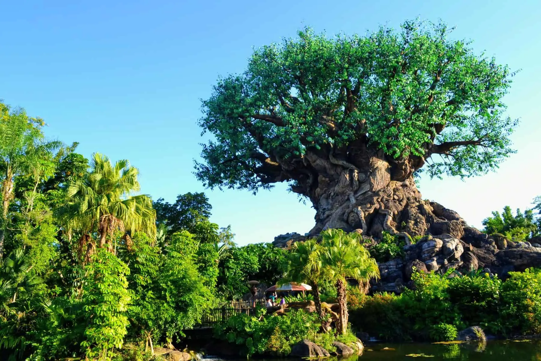 Guide to Animal Kingdom Park Hours in 2024