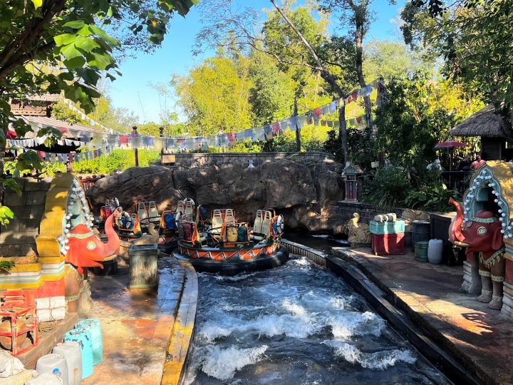 Complete Guide to Kali River Rapids at Animal Kingdom