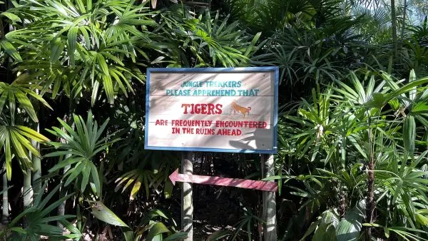 maharajah jungle trek animal kingdom