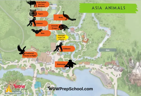 animal map locations in asia at animal kingdom