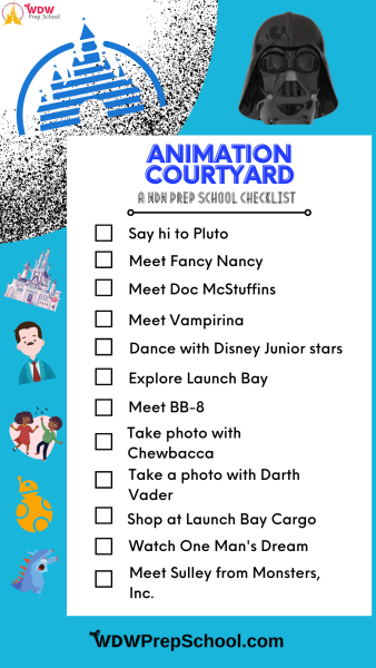 animation courtyard checklist