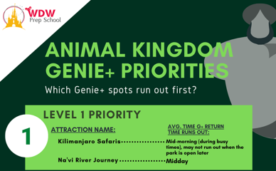 Animal Kingdom graphic teaser for G+