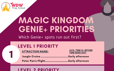 magic kingdom graphic teaser for G+