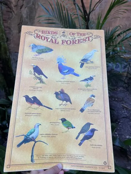 Bird Spotting Guide At Maharajah Jungle Trek