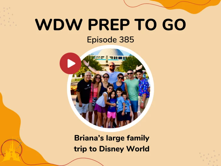 Briana’s large family trip to Disney World – PREP 385