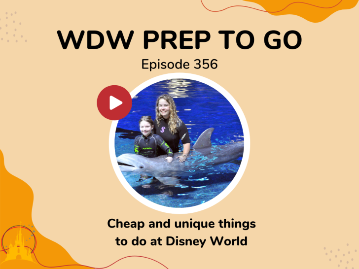 Cheap or Unique things to do at Walt Disney World – PREP 356