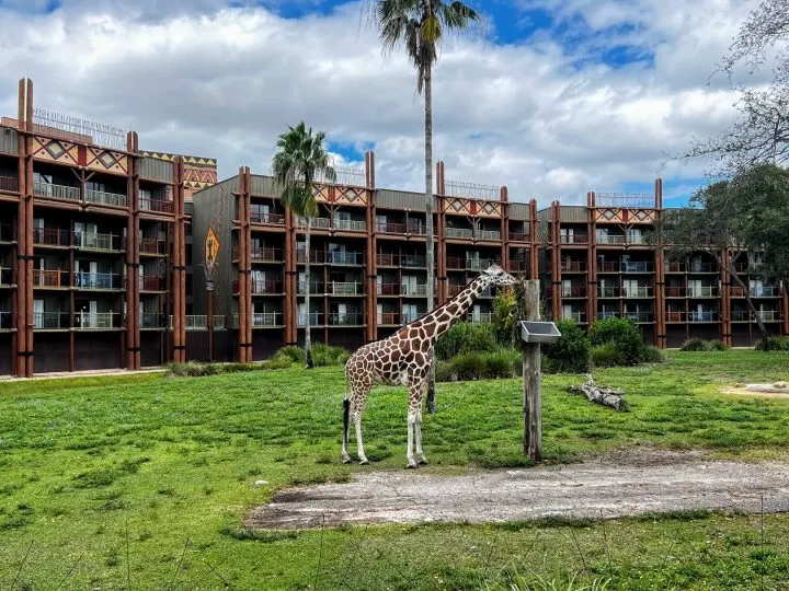 Complete Guide to Animal Kingdom Lodge (w/ review)