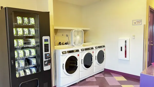 laundry room art of animation