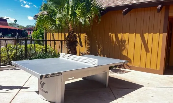 polynesian recreation ping pong