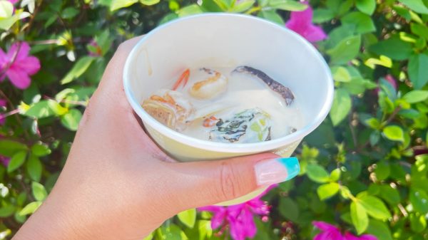 Creamy Shrimp Udon Hanami