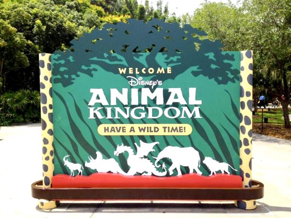 animal kingdom welcome sign