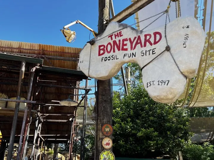 Complete Guide to The Boneyard at Animal Kingdom
