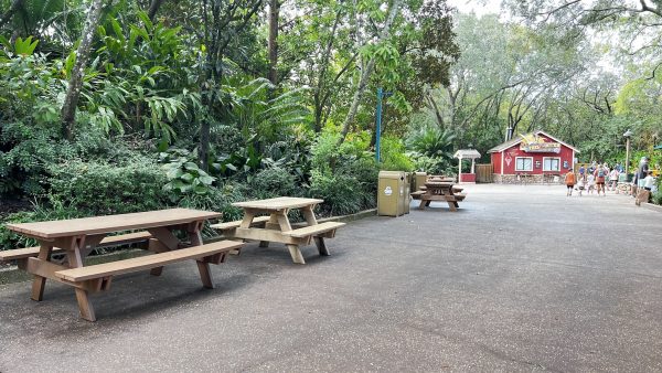 picnic tables dinoland animal kingdom