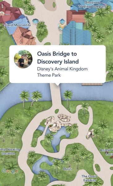 discovery island bridge photopass animal kingdom