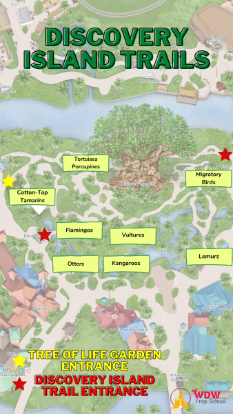 discovery island trails graphic