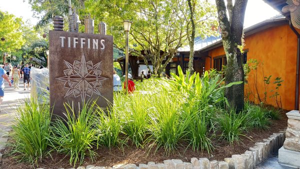 tiffins restaurant animal kingdom