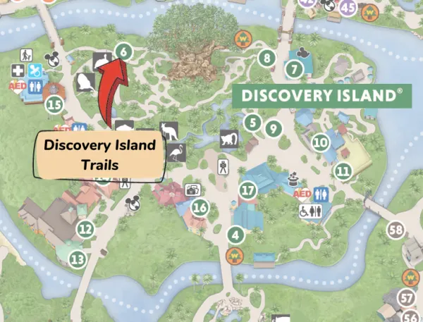 discovery island trails location